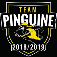 PartnerPool Krefeld Pinguine